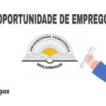 A Universidade Pedagógica – UP Abre (25) Vagas De EMPREGO