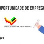 O Instituto Nacional de Estatística (INE) Oferece (05) Vagas de Emprego em Diversas Áreas