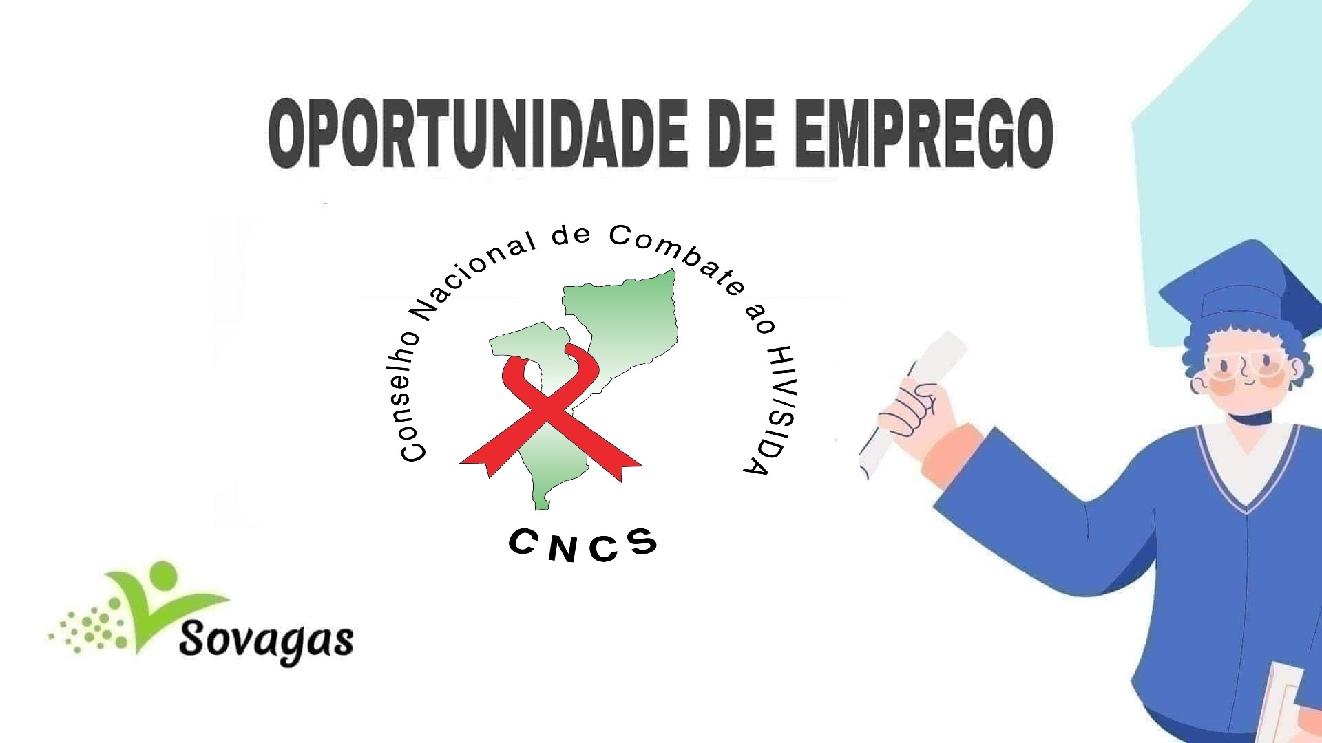 Vagas Para (11) Pontos Focais Provinciais (m/f)