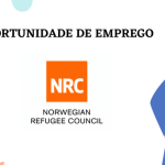 O NRC em Moçambique abre (07) Vagas Para Profissionais de diferentes sectores