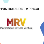 Mozambique Rovuma Venture S.P.A