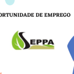 Fundação SEPPA