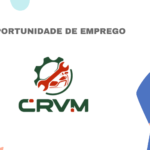 CRVM - Centro Reparações de Veículos de Moçambique Lda