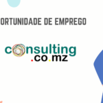 Consulting.co.mz