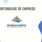 HAIYU (MOZAMBIQUE) MINING CO, LIMITADA