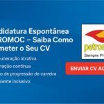 Candidatura Espontânea PETROMOC – Saiba Como Submeter o Seu CV