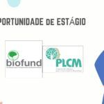O PLCM recruta estagiários que serão integrados em diferentes instituições do Sistema Nacional das Áreas de Conservação – BIOFUND