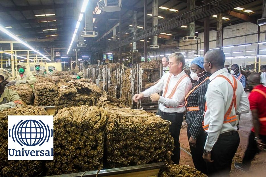 Mozambique Leaf Tobacco
