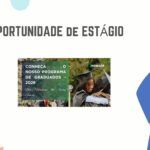 A Horizon Procura Candidatos Sem Experiência Para Programa de Graduados 2026