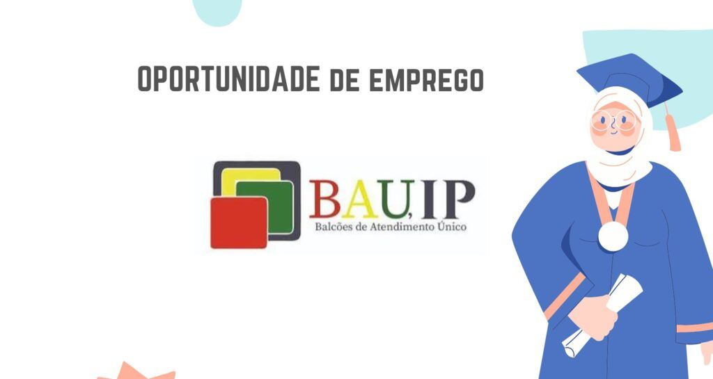 BAU, IP (Balcões de Atendimento Único, Instituto Público)